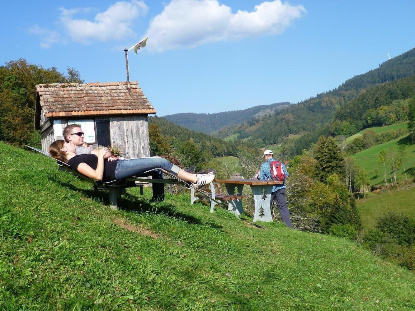 Ferienwohnung Am Kapellenberg - Am Rande Des Nationalparks Schwarzwald バート・ペーターシュタル・グリースバッハ エクステリア 写真